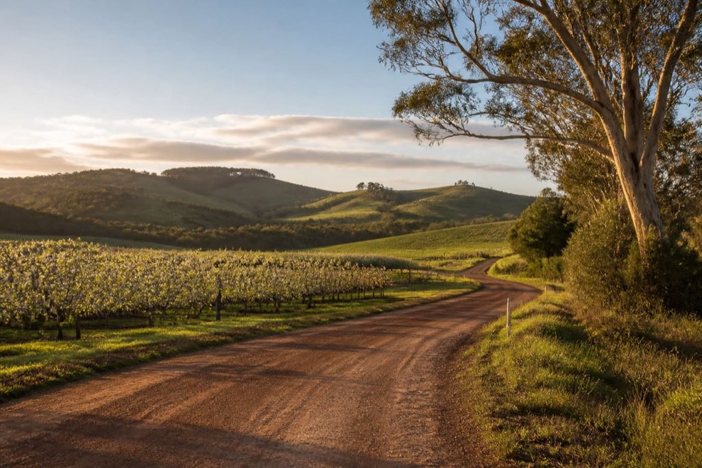 Rural orchard road near Donnybrook in Western Australia